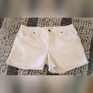 Carve Designs Oahu Shorts - Women's 4" Inseam